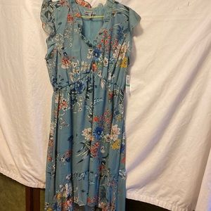 NWT Bailey Blue size large hi/low dress